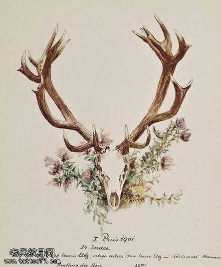 手稿彩色羚羊纹身图案