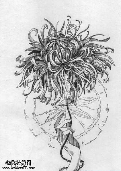 手稿菊花纹身图案