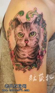 超惹人爱猫咪纹身图案