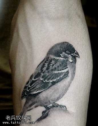腿部鸟纹身图案