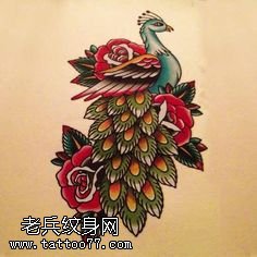 手稿一只美丽有层次的孔雀纹身图案