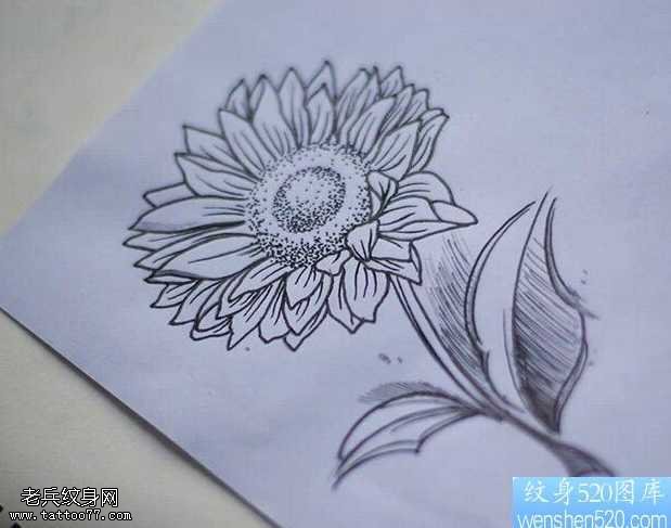 手稿向日葵纹身图案