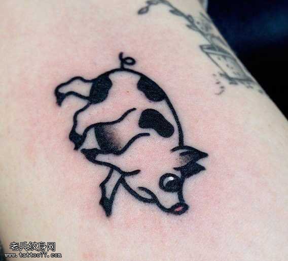 十二生肖猪纹身图案