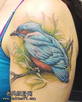 大臂翠鸟纹身图案
