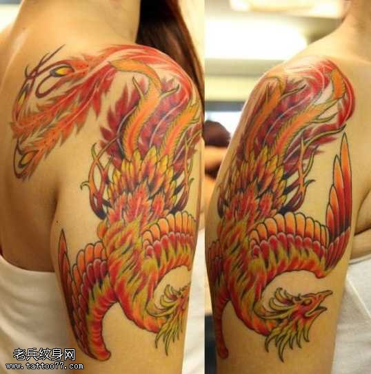 大臂彩色凤凰纹身图案