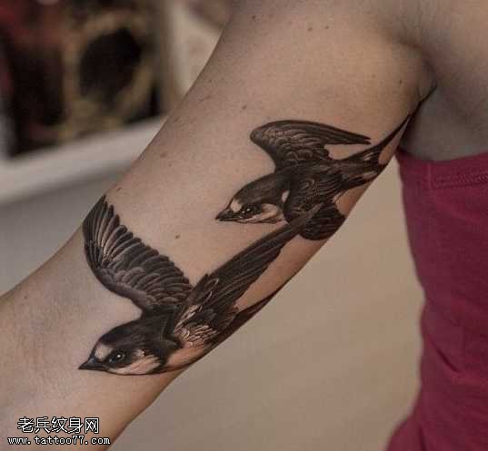 胳膊小燕子嬉戏纹身图案