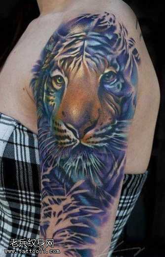 大臂彩色老虎纹身图案