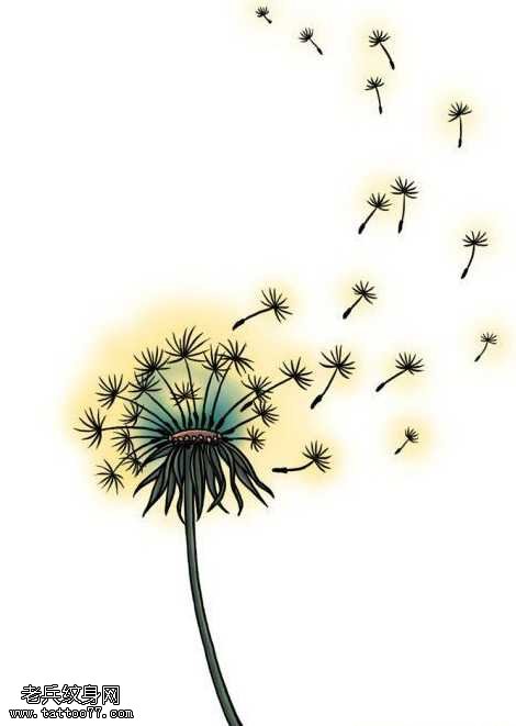 手稿彩色蒲公英纹身图案