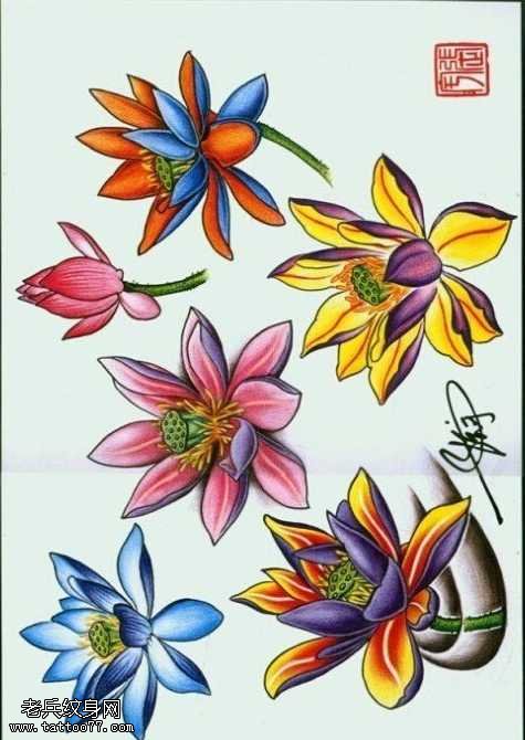 手稿荷花纹身图案