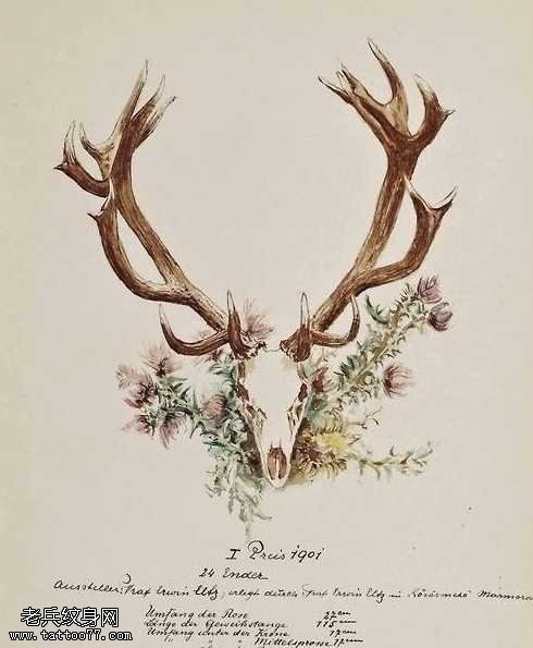 手稿羚羊纹身图案