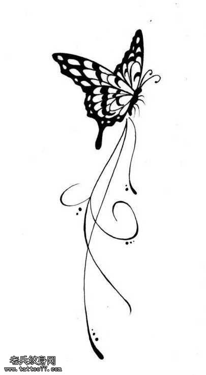手稿蝴蝶纹身图案