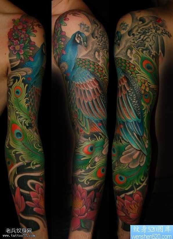 胳膊个性孔雀纹身图案