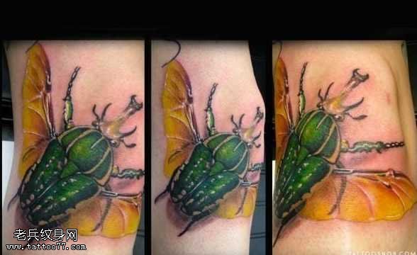 胳膊个性昆虫纹身图案