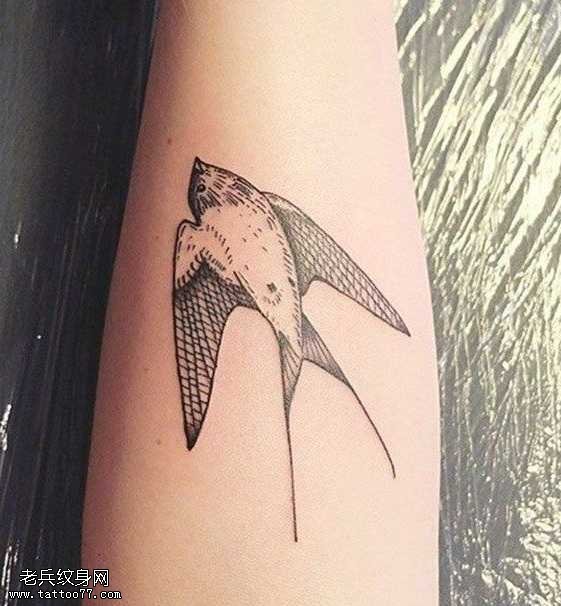 胳膊燕子纹身图案