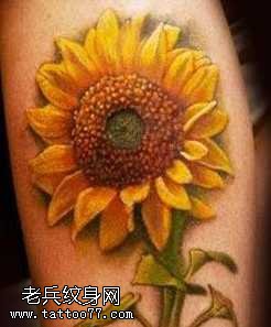 向日葵纹身图案