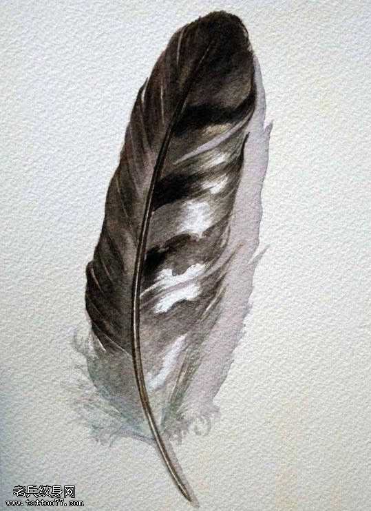 彩色黑羽毛纹身图案