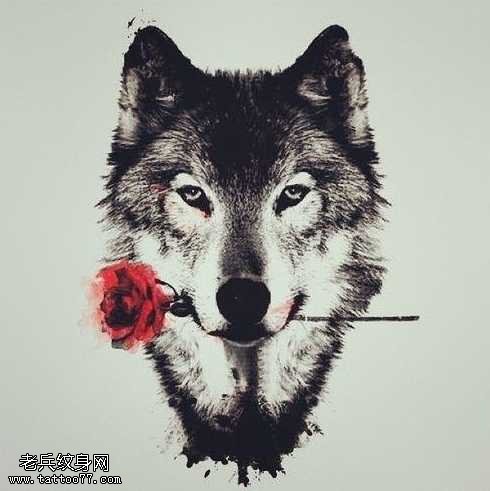 手稿狼头玫瑰纹身图案