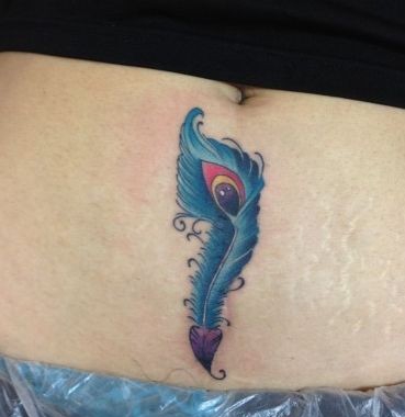 女性唯美的孔雀翎孔雀羽毛纹身