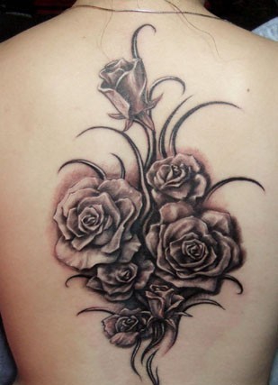 一组时尚特别的女性背部纹身