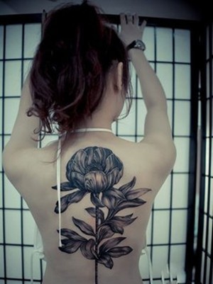 一组时尚特别的女性背部纹身