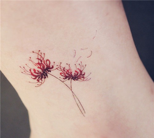 凄凉绽放的彼岸花曼珠沙华