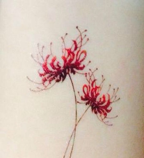 凄凉绽放的彼岸花曼珠沙华