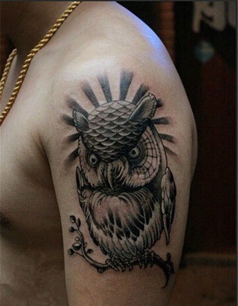 神秘的猫头鹰手臂纹身图案大全