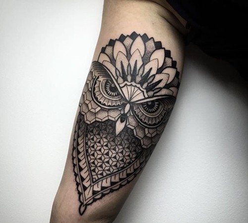 神秘的猫头鹰手臂纹身图案大全
