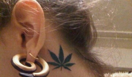 有意境的一片小小的枫叶