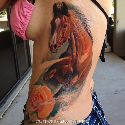 侧背上奔腾的野马