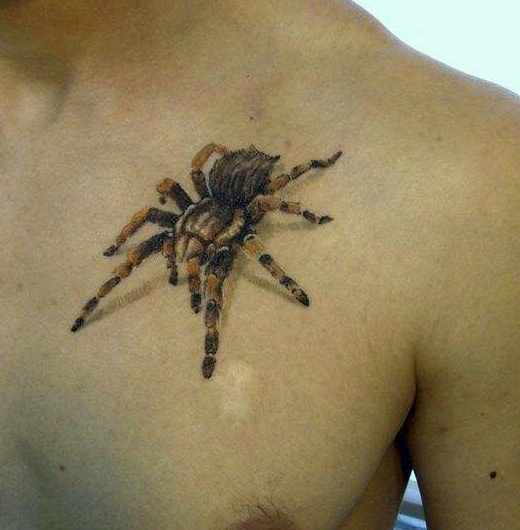 让你大吃一惊的3d蜘蛛纹身