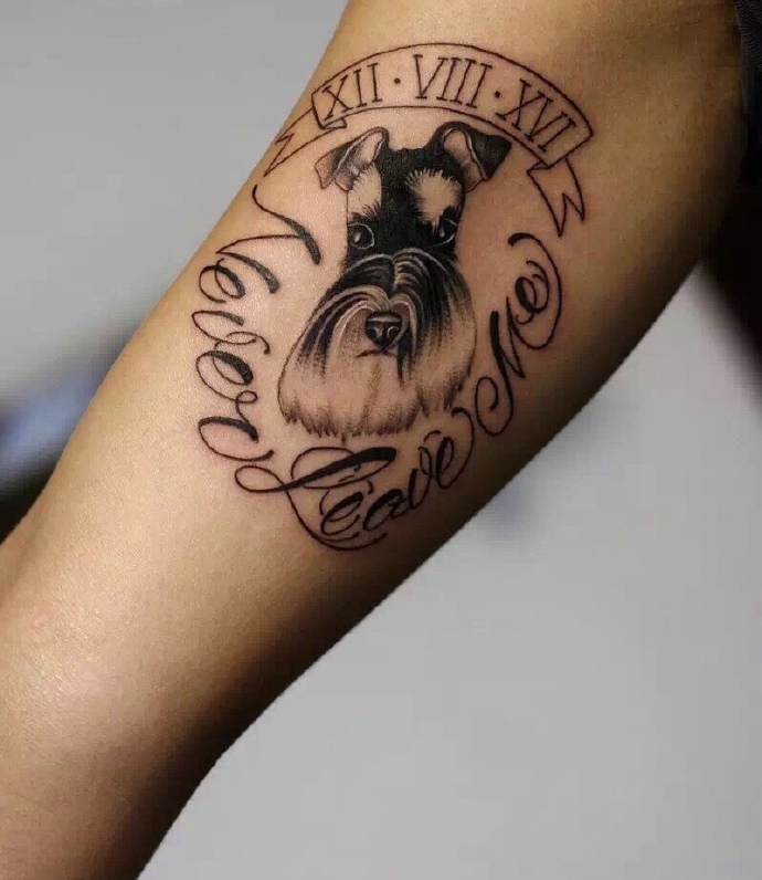 一组风格不一样的墨灰图腾刺青