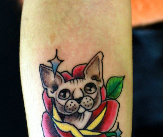 楚楚可爱的小花猫纹身