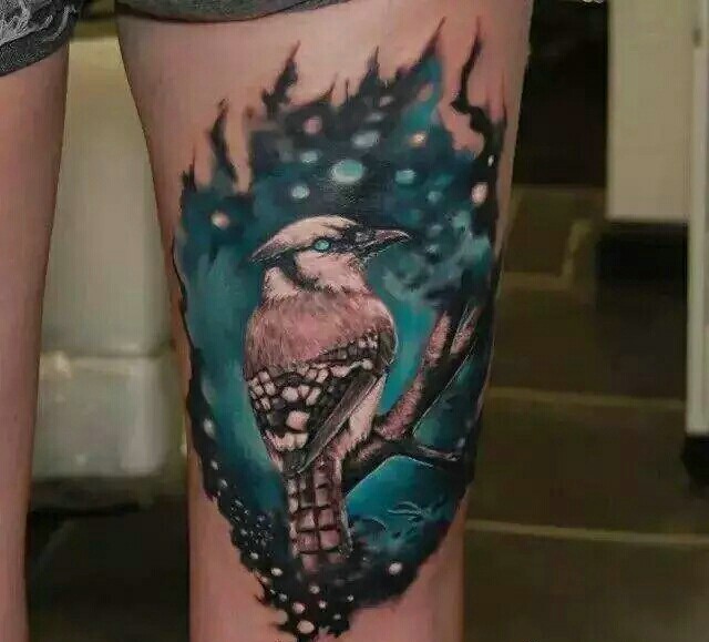 树枝上的小鸟纹身图片安静等待着