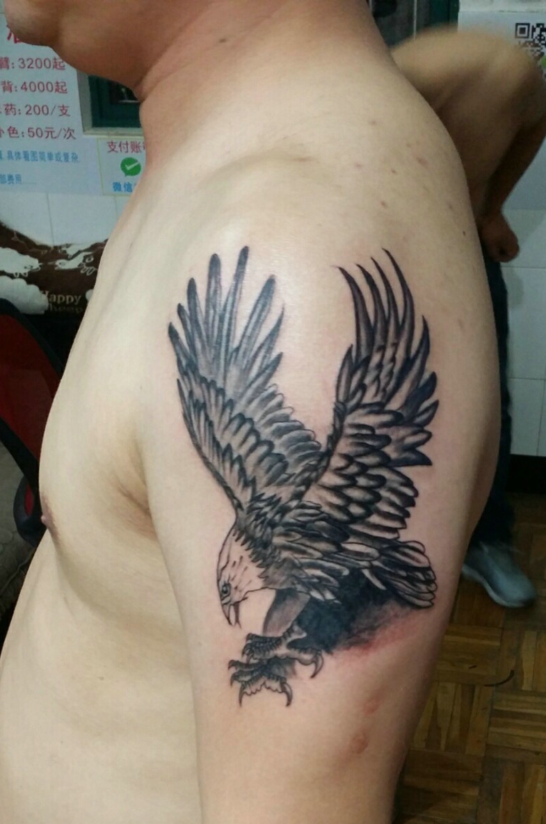 雄鹰展翅手臂纹身图片帅的不要不要的