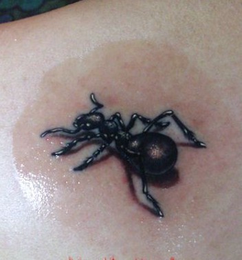 逼真的3D蚂蚁纹身