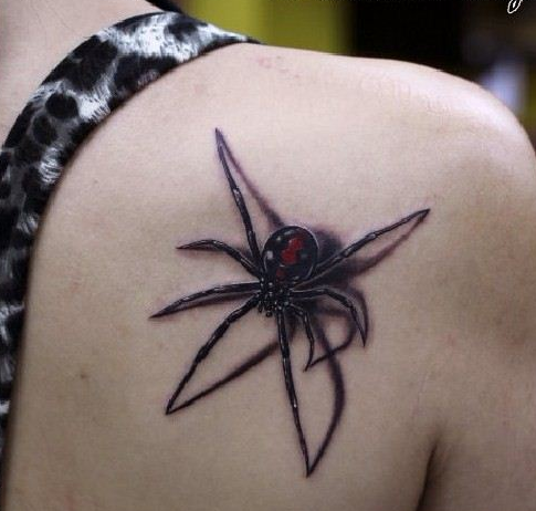 3D彩色蜘蛛纹身图案大全