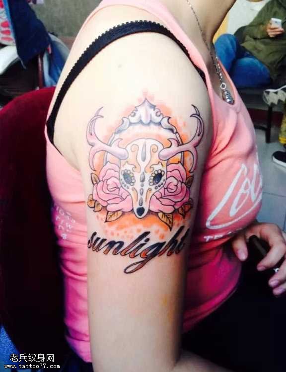 藏羚羊英文纹身图案