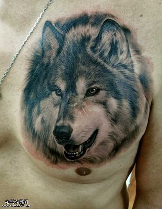 胸部哈士奇纹身图案