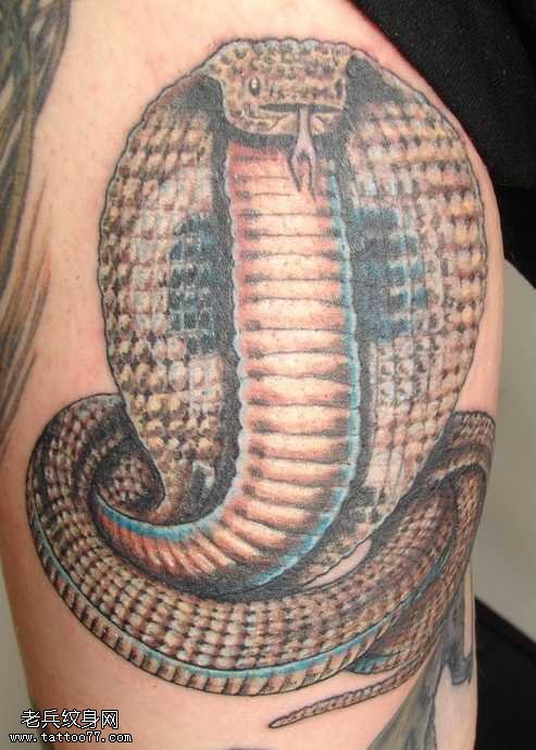 腿部蛇纹身图案