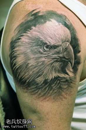 胳膊老鹰纹身图案