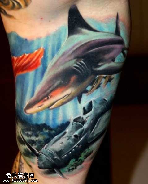 胳膊鲨鱼二战飞机纹身图案