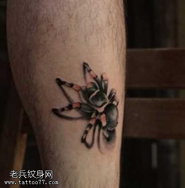 腿部精美的彩色蜘蛛纹身图案