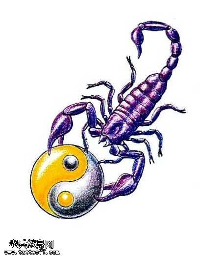 手稿蝎子太极纹身图案