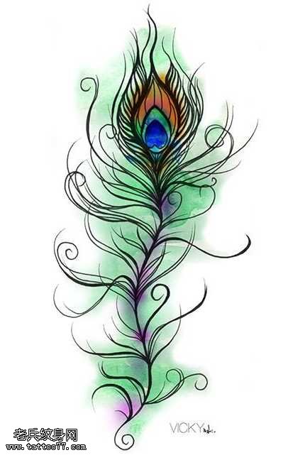 手稿唯美孔雀羽毛纹身图案