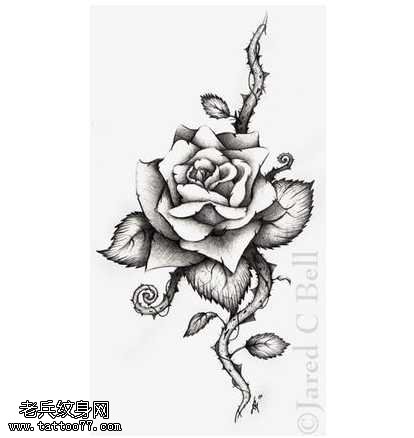 手稿黑灰玫瑰纹身图案