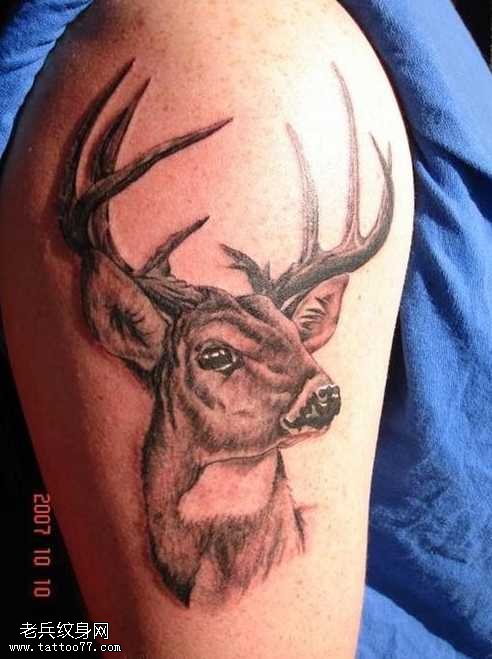 胳膊个性鹿纹身图案