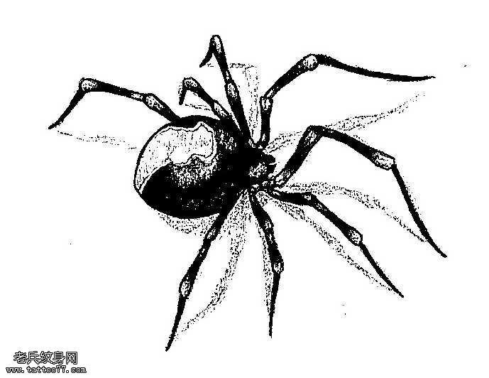 手稿小蜘蛛纹身图案