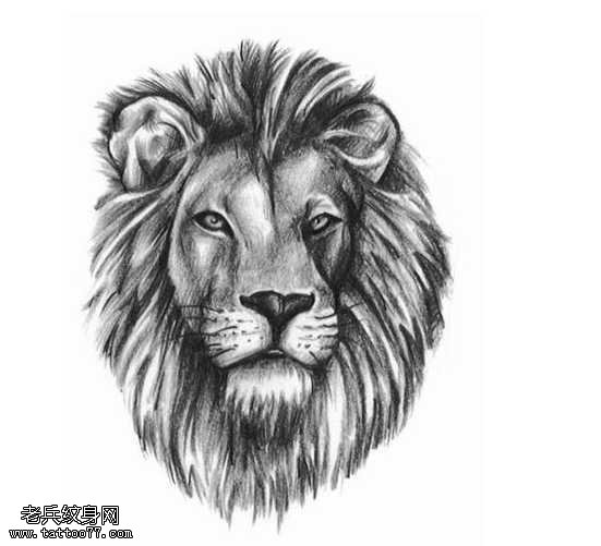 手稿霸气的狮子头像纹身图案
