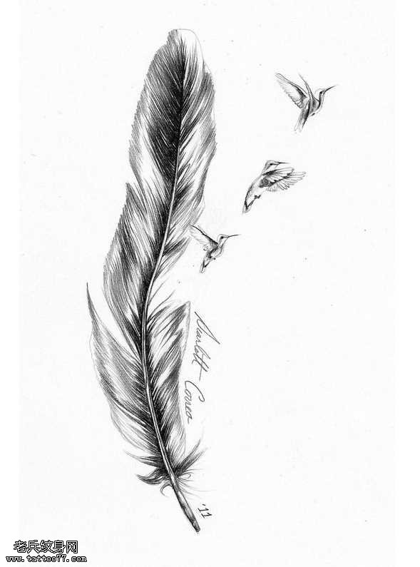 手稿黑羽毛纹身图案